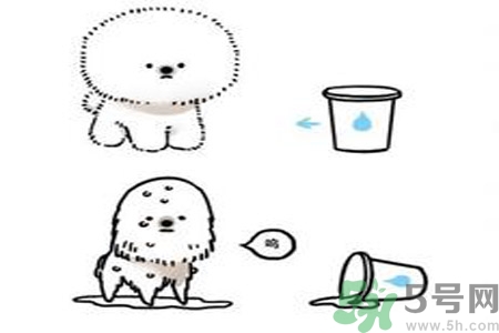 虛胖是什么意思？虛胖是胖嗎？