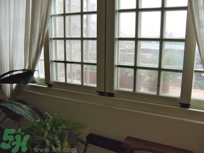 房間潮濕怎么辦？房間潮濕如何解決？