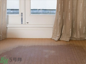 房間潮濕怎么辦？房間潮濕如何解決？