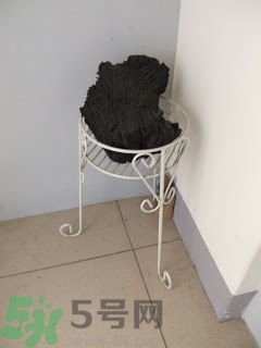 房間潮濕怎么辦？房間潮濕如何解決？