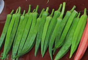 腎炎可以吃秋葵嗎？吃秋葵可以治療腎炎嗎？