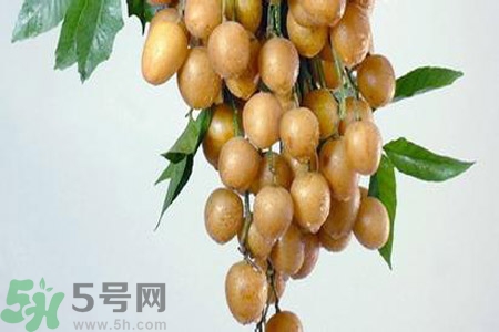 黃皮果是不是發(fā)物？黃皮果是發(fā)物嗎？
