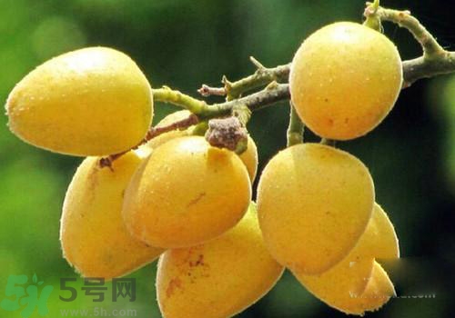 黃皮果的皮可以吃嗎？黃皮果的皮有什么作用