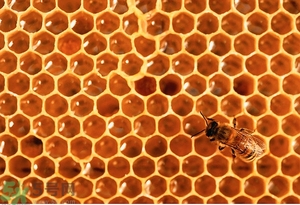 蜂蜜放久了有酒味是怎么回事？蜂蜜有酒味還能喝嗎？