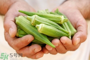 腎病可以吃秋葵嗎？腎病患者能吃秋葵嗎？
