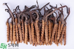 冬蟲夏草是怎么形成的？冬蟲夏草是蟲子嗎？