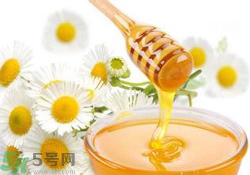 什么蜂蜜才是好蜂蜜？好壞蜂蜜的鑒別