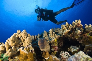 深潛危險么？深潛注意事項有哪些？