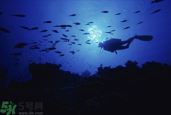 深潛危險么？深潛注意事項有哪些？