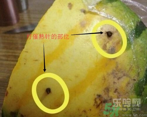 如何辨別催熟的西瓜？催熟的西瓜是什么樣的？