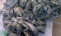 海帶上有毛毛能吃嗎?海帶上有毛毛怎么處理? 海帶上有毛毛能吃嗎?海帶上有毛毛怎么處理?