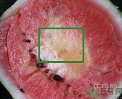 如何辨別催熟的西瓜？催熟的西瓜是什么樣的？