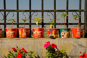 吃方便面會(huì)發(fā)胖嗎？吃方便面有什么壞處？