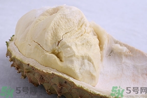 榴蓮能放冰箱嗎？榴蓮放在冰箱能保存幾天？