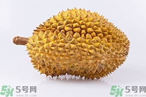 榴蓮能放冰箱嗎？榴蓮放在冰箱能保存幾天？