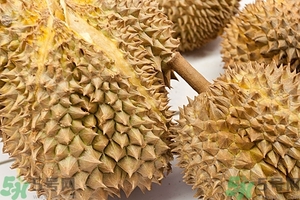 榴蓮能放冰箱嗎？榴蓮放在冰箱能保存幾天？