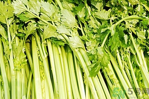 貧血能吃芹菜嗎？貧血吃芹菜好不好？