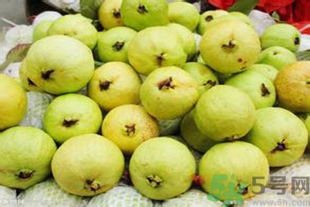 番石榴是熱性還是涼性？番石榴是涼性的嗎？