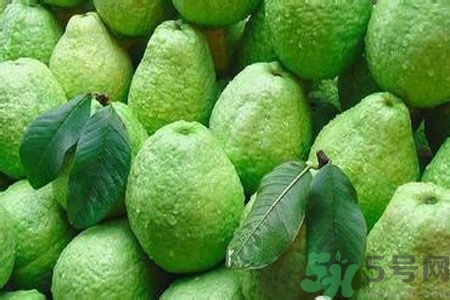 寶寶可以吃番石榴嗎？寶寶多大可以吃番石榴？