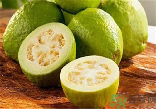 番石榴葉的功效作用 番石榴葉有什么功效