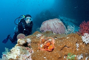 經(jīng)期可以潛水嗎？來例假可以潛水嗎？