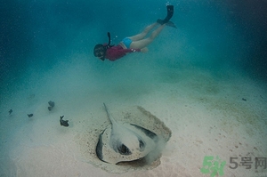 懷孕能浮潛嗎？什么人不適合潛水？