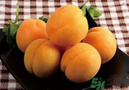 杏子是熱性還是涼性？杏子是涼性的嗎？