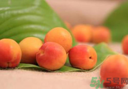 杏子是熱性還是涼性？杏子是涼性的嗎？