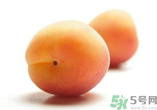 杏子有毒嗎？杏子吃了會中毒嗎？