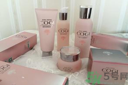 高姿大白水多少錢？高姿大白水適合什么年齡？