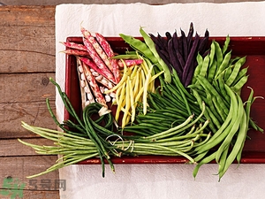 痛風(fēng)能吃豆角嗎？痛風(fēng)吃豆角行嗎？