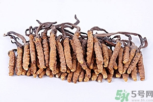 冬蟲(chóng)夏草真假怎么鑒別？冬蟲(chóng)夏草怎么吃效果最好？