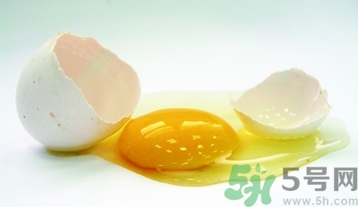 雞蛋清可以退燒嗎?雞蛋清能退燒嗎?