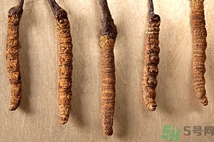 冬蟲夏草真假怎么鑒別？冬蟲夏草怎么吃效果最好？
