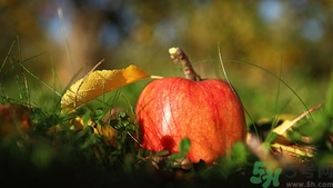 掉地上3秒東西能吃嗎？掉地上東西要不要撿起來吃？