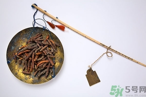 冬蟲夏草真假怎么鑒別？冬蟲夏草怎么吃效果最好？