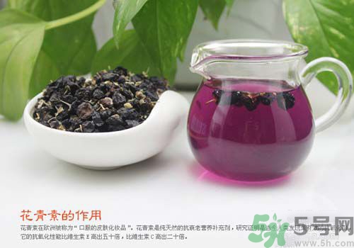 黑枸杞泡水是什么顏色？黑枸杞泡水是紫色的嗎？