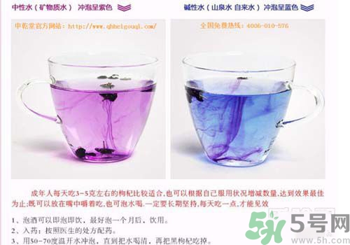 黑枸杞怎么辨別真假？怎么挑選黑枸杞？