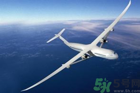 電蚊香片可以帶上飛機嗎？電蚊香液可以帶上飛機嗎？