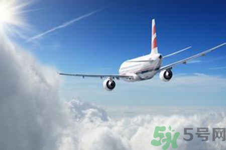 電蚊香片可以帶上飛機嗎？電蚊香液可以帶上飛機嗎？