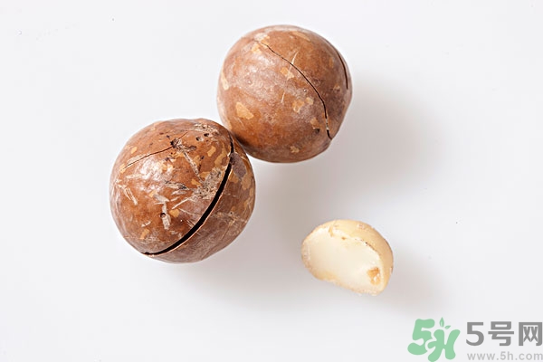 夏威夷果什么時(shí)候成熟上市？腰果和夏威夷果的區(qū)別