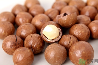 夏威夷果沒有開果器怎么開殼？夏威夷果縫怎么來的？