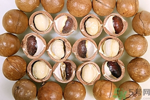 夏威夷果產(chǎn)地在哪里？夏威夷果為什么有奶香？