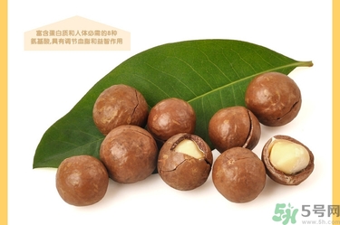 夏威夷果肉黏殼怎么辦？夏威夷果能放多久？