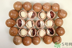 夏威夷果產(chǎn)地在哪里？夏威夷果為什么有奶香？