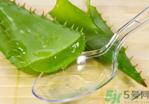 蘆薈膠要洗臉嗎？用完蘆薈膠要不要洗臉？