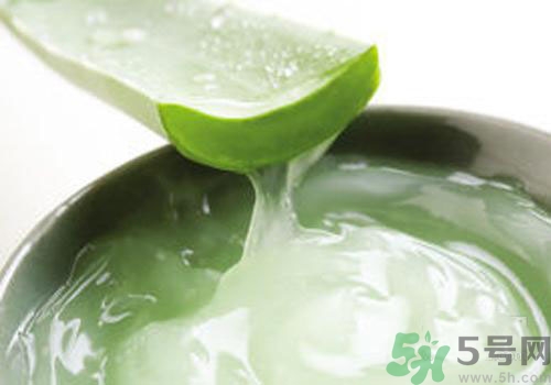 孕婦可以用蘆薈膠嗎？蘆薈膠孕婦可以用嗎？