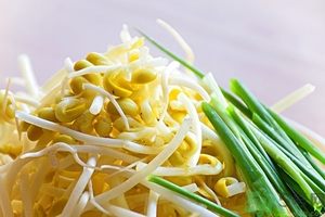 吃豆芽會胖嗎？豆芽會不會讓人長胖？