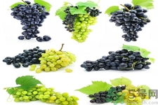 葡萄種植的基本流程？葡萄種植的方法？