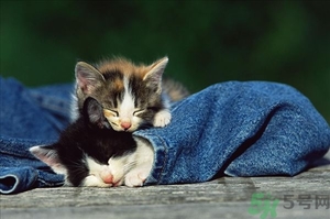 睡眠不規(guī)律如何調整？睡眠不規(guī)律會胖嗎？